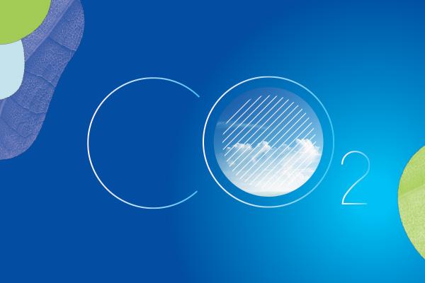 Black Friday e Natale: fino a 500mila tonnellate di CO₂ in Italia in poche settimane